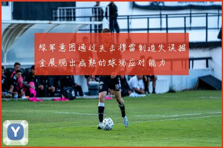 绿军意图通过夹击穆雷制造失误掘金展现出成熟的球场应对能力