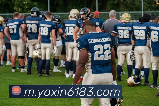 亚新体育APP 封面图